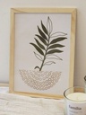 [AAB986.1] CUADRO NATURALEZA 20X30 Hoja en Maceta - eCommerce 2