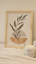 [AAB986.1] CUADRO NATURALEZA 20X30 Hoja en Maceta - eCommerce 4