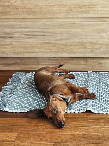 [AAG110] ALFOMBRA GRIS TRAMA ROMBO BLANCO 50X80 - eCommerce 3