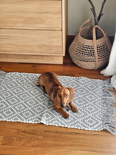 [AAG110] ALFOMBRA GRIS TRAMA ROMBO BLANCO 50X80 - eCommerce 5
