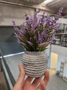 [AAH184] Lavanda en Maceta Piedra - eCommerce 3