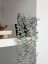[AAE770] MACETA EUCALIPTO 8 CM - eCommerce 3