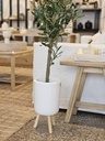 [AAA504.1] MACETA VAN GOGH BLANCO - eCommerce 3