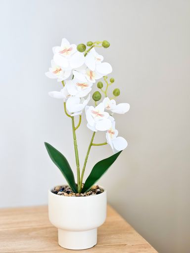 [AAH547] Orquidea Blanca con Maceta 39 cm - eCommerce 3