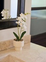 [AAH547] Orquidea Blanca con Maceta 39 cm - eCommerce 4