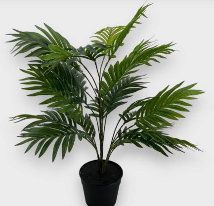 [AAE614] PALMERA CON MACETA 70CM - eCommerce 2