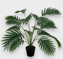 [AAG097] PLANTA ARECA 58 CM - eCommerce 3