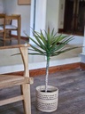 [AAE619] PLANTA ARTIFICIAL 78CM - eCommerce 2