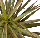 [AAE619] PLANTA ARTIFICIAL 78CM - eCommerce 4
