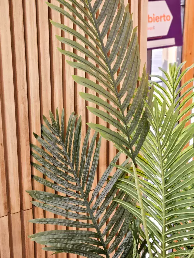 [AAE768] PLANTA ARTIFICIAL ARECA 80 CM - eCommerce 5