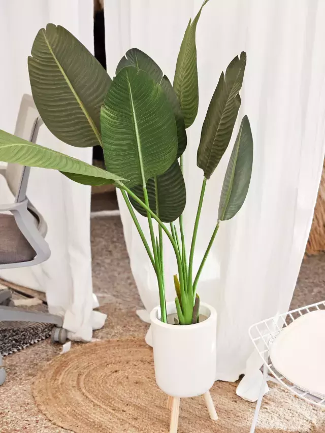 [AAD479] PLANTA ARTIFICIAL BANANO 120CM - eCommerce 3