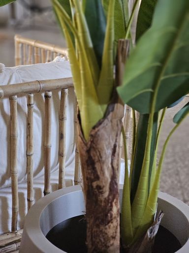 [AAD478] PLANTA ARTIFICIAL BANANO 80CM - eCommerce 2