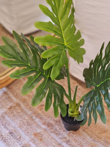 [AB485] PLANTA ARTIFICIAL COSTILLA ADAN - eCommerce 2