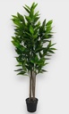[AAD519] PLANTA ARTIFICIAL DRACENA 180CM - eCommerce 4