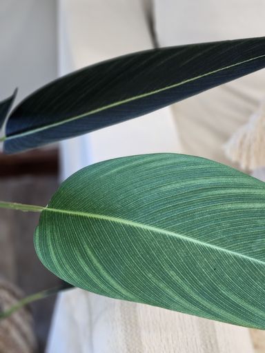 [AAE842] PLANTA ARTIFICIAL STRELITZIA 130 CM - eCommerce 2
