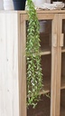 [AAB758.0] PLANTA COLGANTE MERLI - eCommerce 2