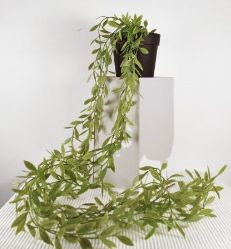 [AAB758.0] PLANTA COLGANTE MERLI - eCommerce 3