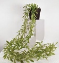 [AAB758.0] PLANTA COLGANTE MERLI - eCommerce 3