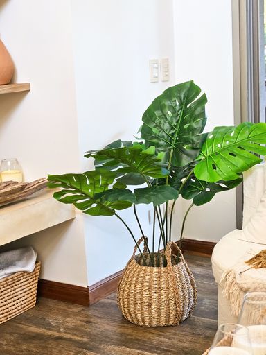 [AAE837] PLANTA MONSTERA 100 CM - eCommerce 3