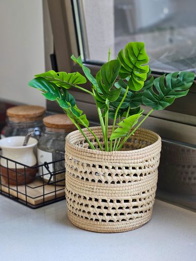 [AAA647.0] PLANTA MONSTERA 45CM - eCommerce 2