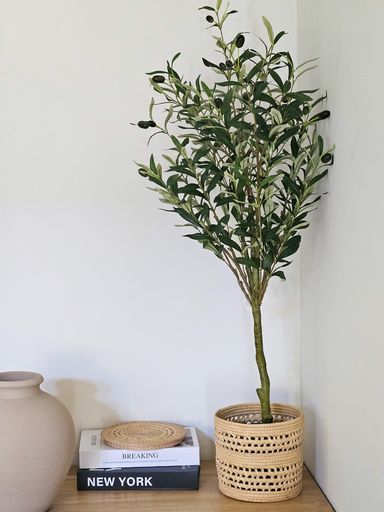 [AAF064] PLANTA OLIVO 100 CM - eCommerce 3