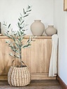 [AAE838] PLANTA OLIVO 120 CM CON FRUTAS - eCommerce 3