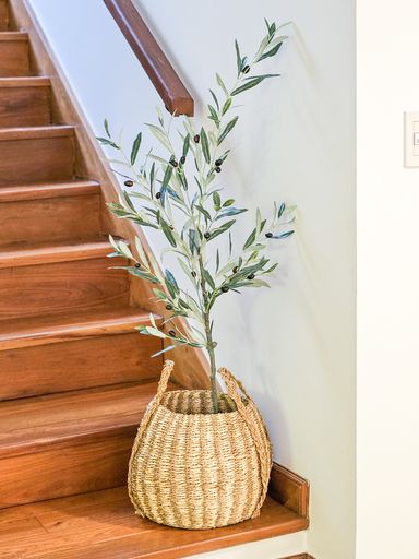 [AAE838] PLANTA OLIVO 120 CM CON FRUTAS - eCommerce 4
