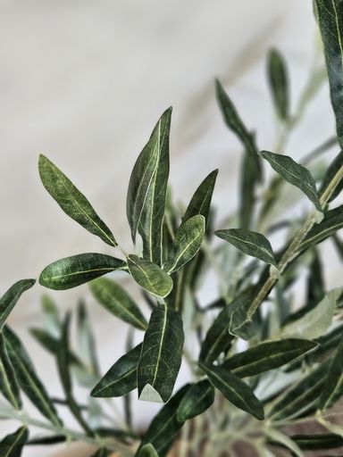 [AAE839] PLANTA OLIVO 130 CM - eCommerce 4