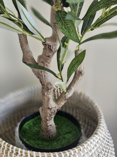 [AAF065] PLANTA OLIVO 150 CM - eCommerce 3