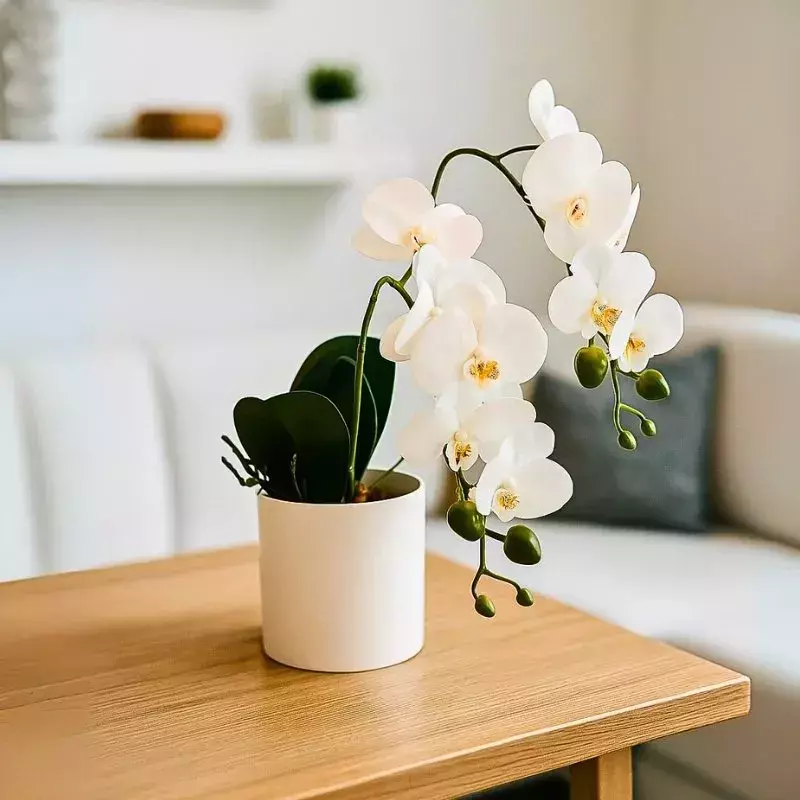 [AAG574] PLANTA ORQUIDEA 45 CM - eCommerce 3
