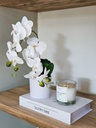[AAG574] PLANTA ORQUIDEA 45 CM - eCommerce 4