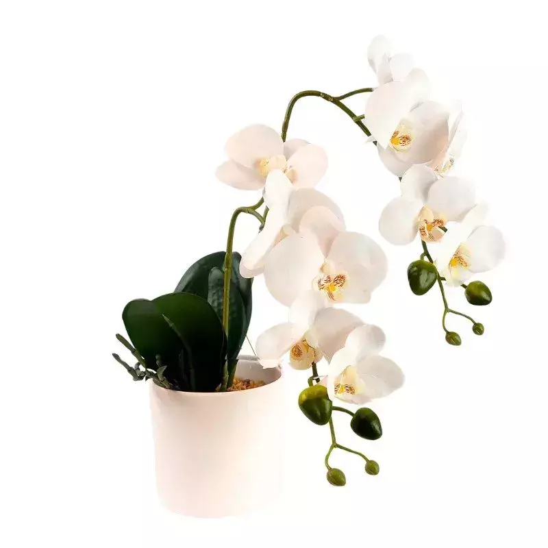 [AAG574] PLANTA ORQUIDEA 45 CM - eCommerce 5