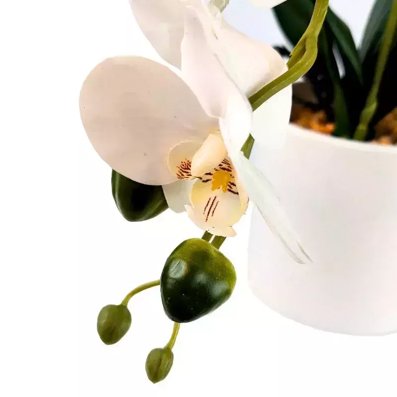 [AAG574] PLANTA ORQUIDEA 45 CM - eCommerce 6