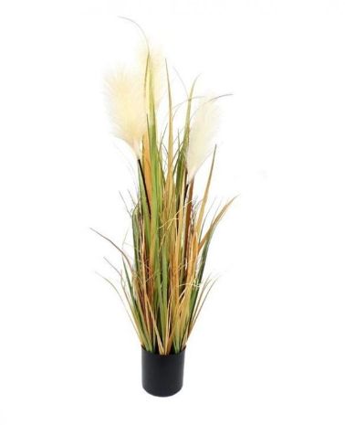[AAD477] PLANTA PLUMERO 90CM - eCommerce 2