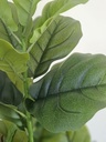 [AAH548] Pandurata Con Maceta 60 cm - eCommerce 4
