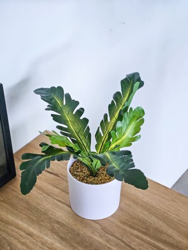 [AAH088] Planta 30cm - eCommerce 3