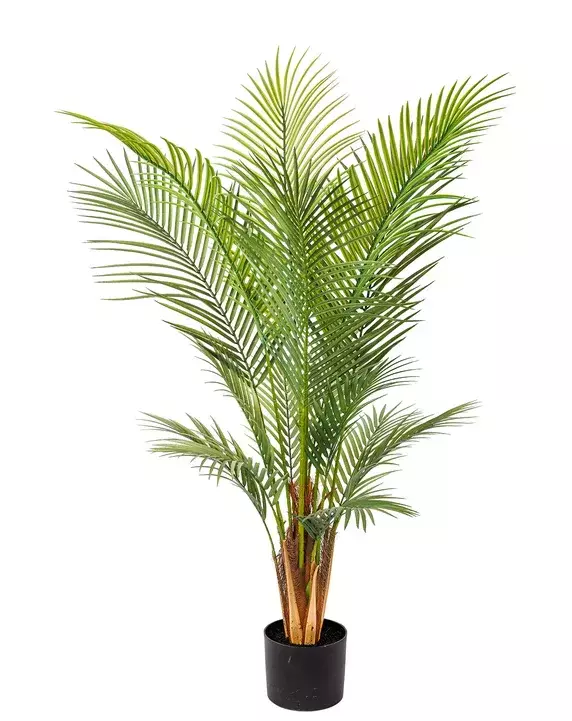 [AAH061] Planta Artificial Areca 160cm - eCommerce 3
