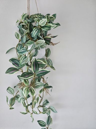 [AAH087] Planta Colgante 45cm - eCommerce 3