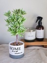 [AAH212] Planta Home Verde - eCommerce 3