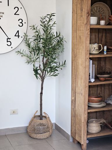 [AAH536] Planta Olivo 175 cm - eCommerce 3