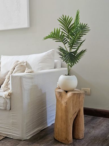 [AAH544] Planta Sham con Maceta 70 cm - eCommerce 3
