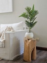 [AAH544] Planta Sham con Maceta 70 cm - eCommerce 3