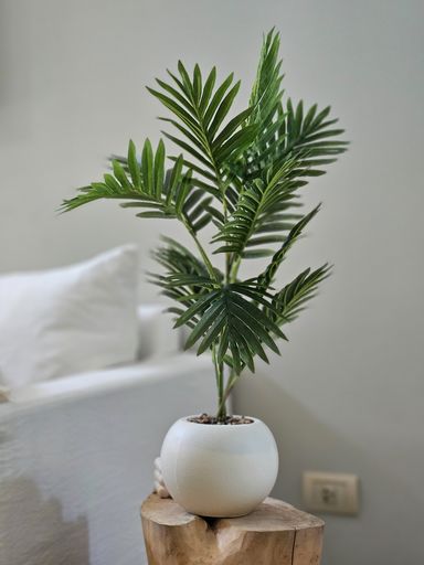 [AAH544] Planta Sham con Maceta 70 cm - eCommerce 4