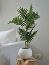 [AAH544] Planta Sham con Maceta 70 cm - eCommerce 4