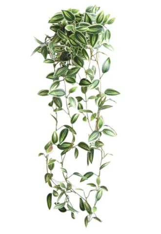 [AAB966.0] RAMA COLGANTE 78CM - eCommerce 3