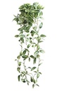 [AAB966.0] RAMA COLGANTE 78CM - eCommerce 3