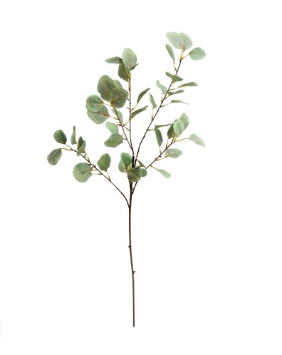 [AAE019] RAMA EUCALIPTUS VERDE CLARO 92CM - eCommerce 3