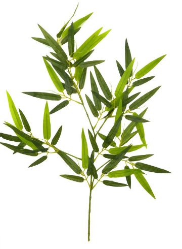[AAE104] RAMA HOJAS DE BAMBOO 68CM - eCommerce 2