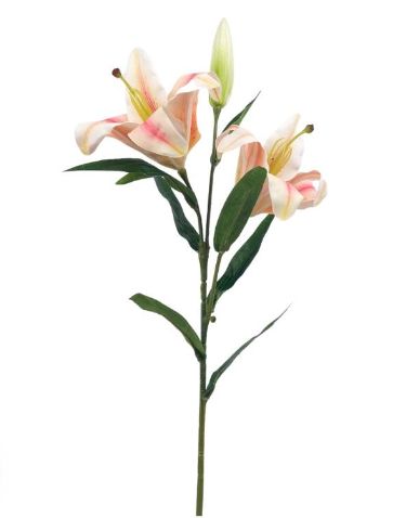 [AAE100] RAMA LIRIO MIX 62CM - eCommerce 2
