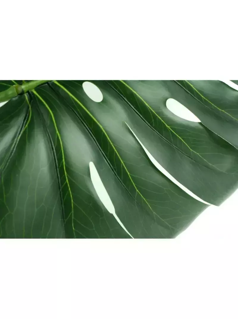 [AAE781] RAMA MONSTERA 70 CM - eCommerce 4